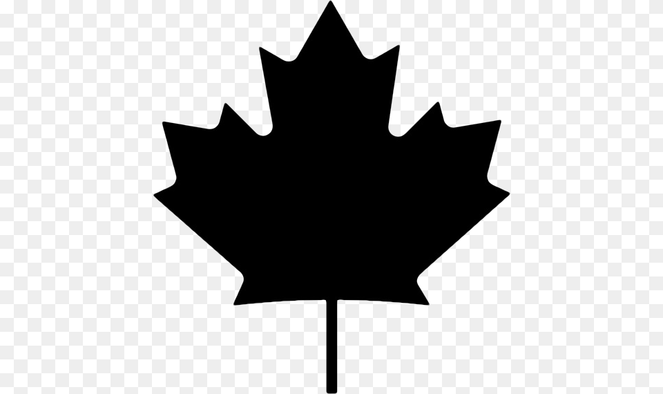Canada Flag Canada Maple Leaf, Plant, Maple Leaf Free Png Download