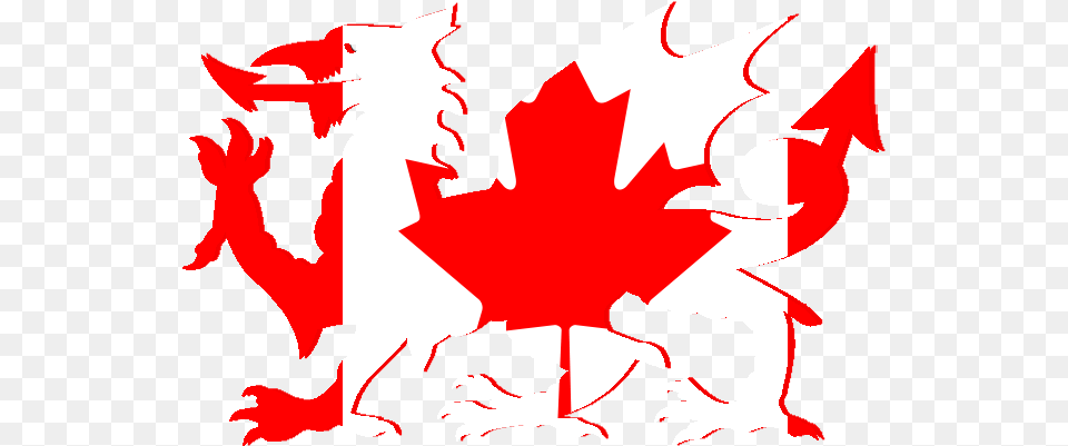 Canada Flag Clear Background, Leaf, Plant, Baby, Person Free Transparent Png