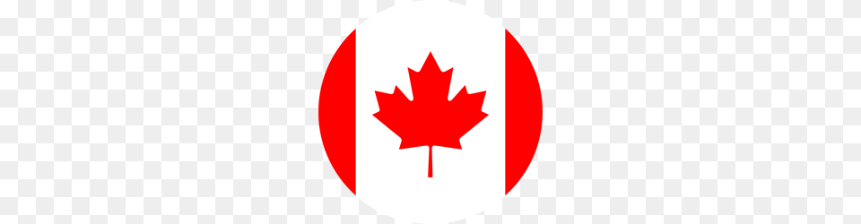 Canada Flag Clipart, Leaf, Plant, Maple Leaf, First Aid Free Png