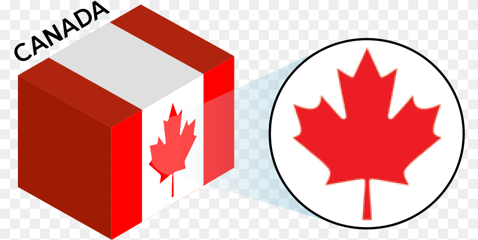 Canada Flag Colors And Symbol Canada Flag, Leaf, Plant Png Image