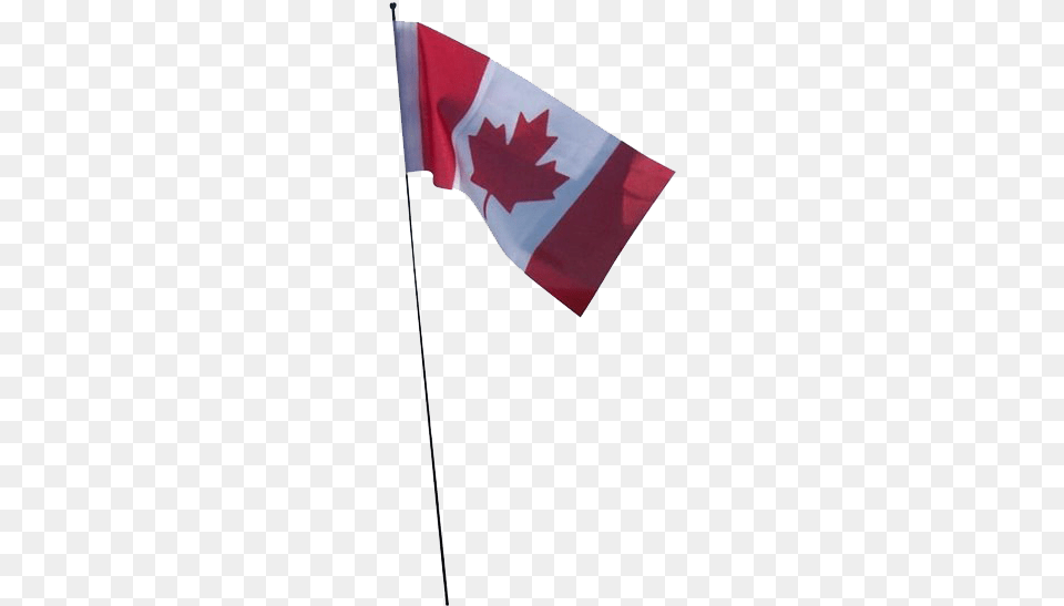 Canada Flag Free Background Canada Flag, Canada Flag Png