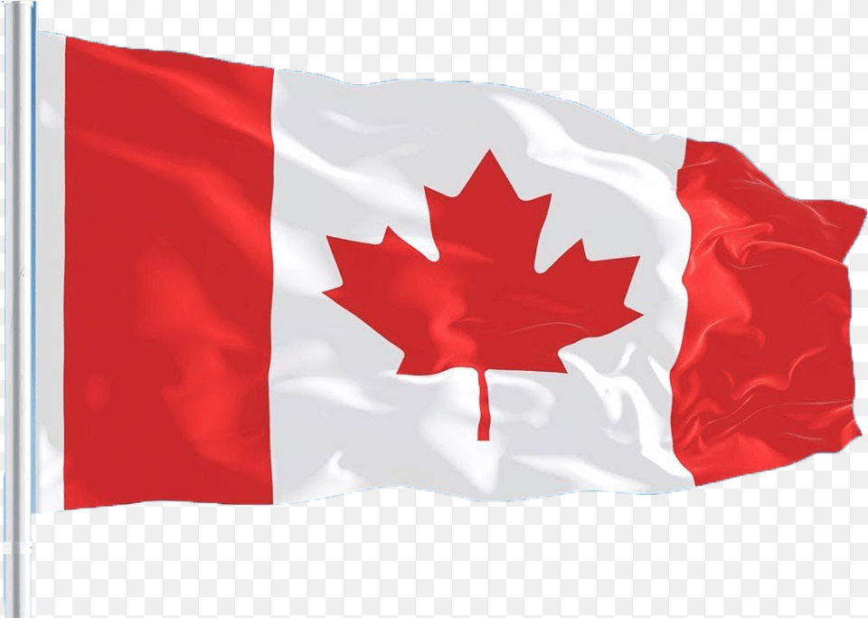 Canada Flag Canada Flag, Leaf, Plant, Canada Flag Free Png