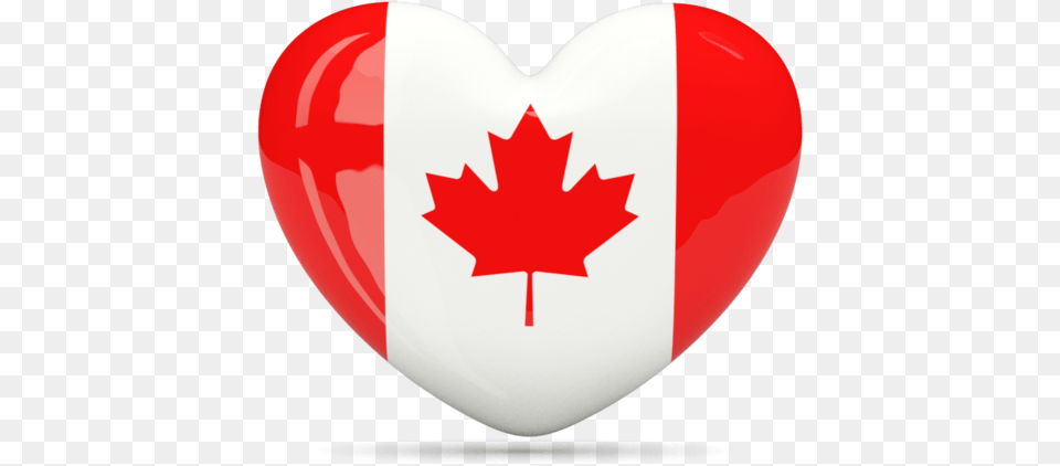 Canada Flag Heart, Leaf, Plant, First Aid Free Png