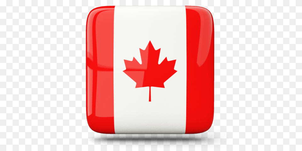 Canada Flag Icon Square, Leaf, Plant, First Aid Free Png Download