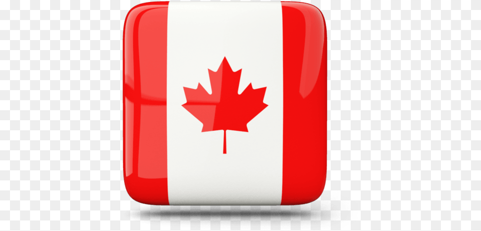 Canada Flag Icon Square, Leaf, Plant, First Aid Free Png Download