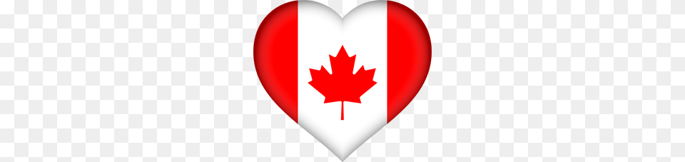 Canada Flag Image, Leaf, Plant, First Aid Free Transparent Png