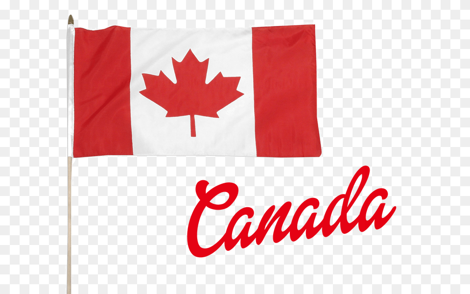 Canada Flag Logo, Leaf, Plant, Canada Flag Free Transparent Png