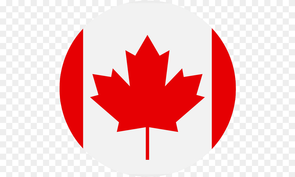 Canada Flag Square Icon, First Aid, Leaf, Plant, Maple Leaf Free Png Download
