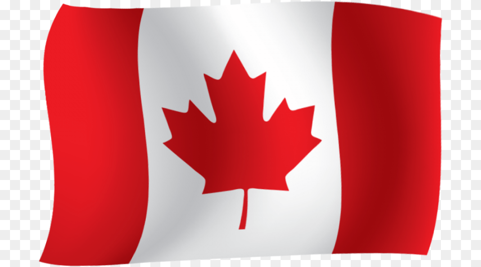 Canada Flag Transparent Icon Amp Canada Flag Vector Australia Canadian Flag, Leaf, Plant Free Png