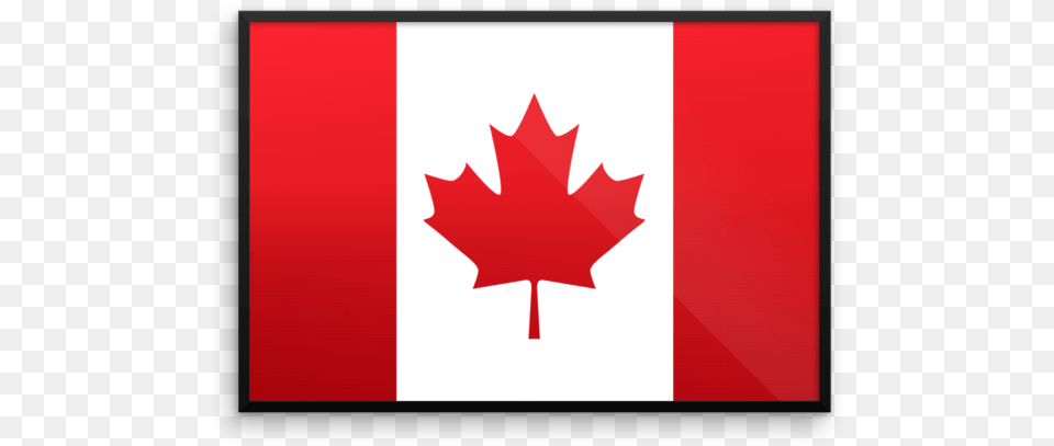 Canada Flag Wall Art Canada Flag, Leaf, Plant, Animal, Fish Png