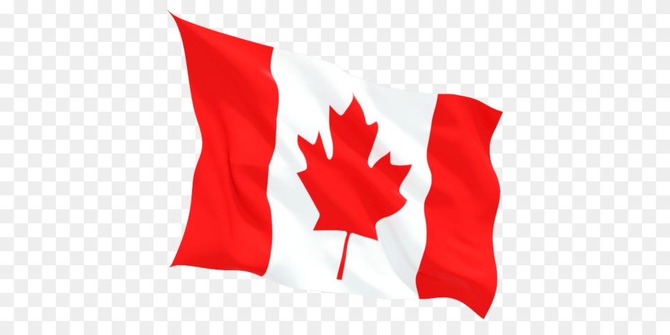 Canada Flag Wave, Leaf, Plant, Canada Flag Png Image