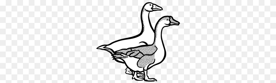 Canada Geese Clip Art, Animal, Bird, Goose, Waterfowl Free Png Download