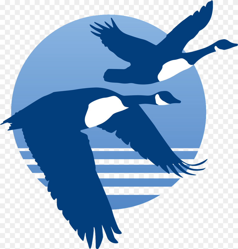 Canada Geese Logo Eagle, Animal, Bird, Flying, Goose Free Png