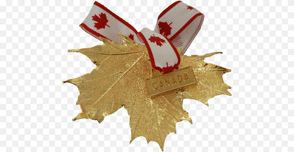 Canada Gold Maple Leaf Ornament Canada Gold, Plant, Tree Free Png