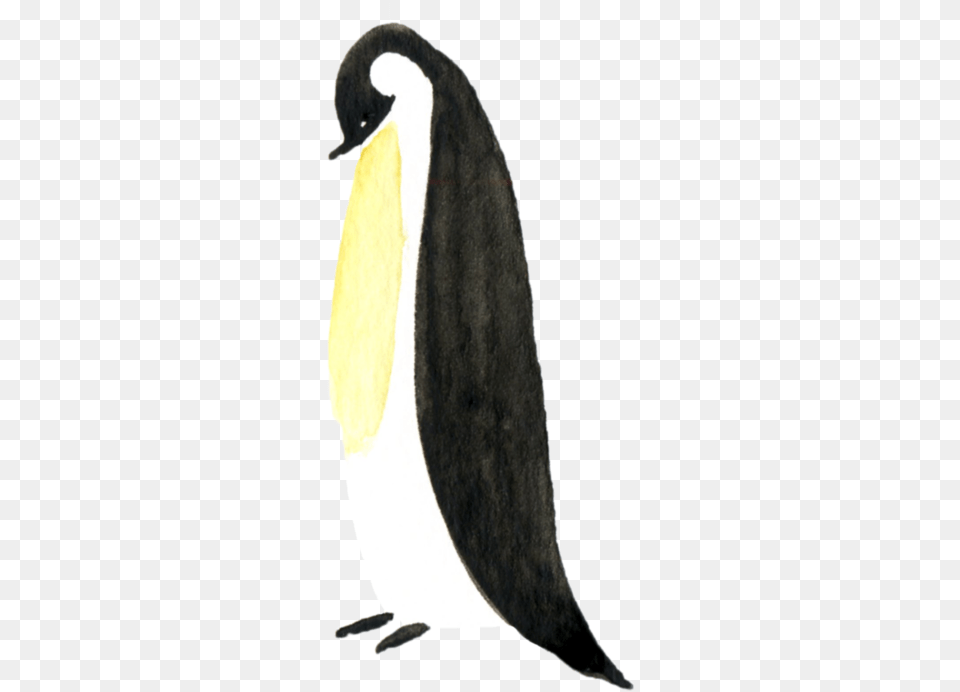 Canada Goose, Animal, Bird, Penguin, King Penguin Png Image