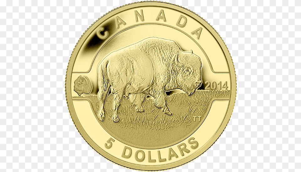 Canada Goose Coin, Gold, Money, Animal, Bear Free Png