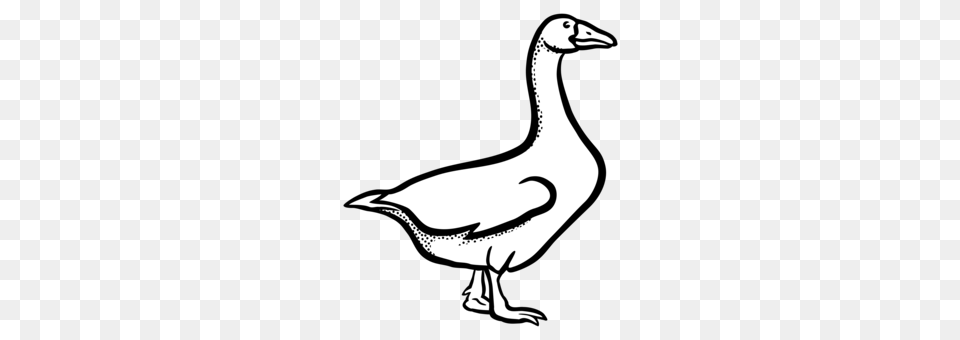 Canada Goose Drawing Line Art Duck, Animal, Bird, Waterfowl, Fish Free Transparent Png