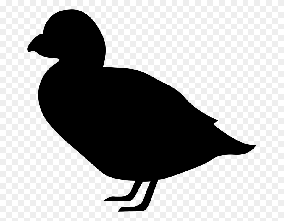 Canada Goose Duck Bird Silhouette, Gray Free Transparent Png