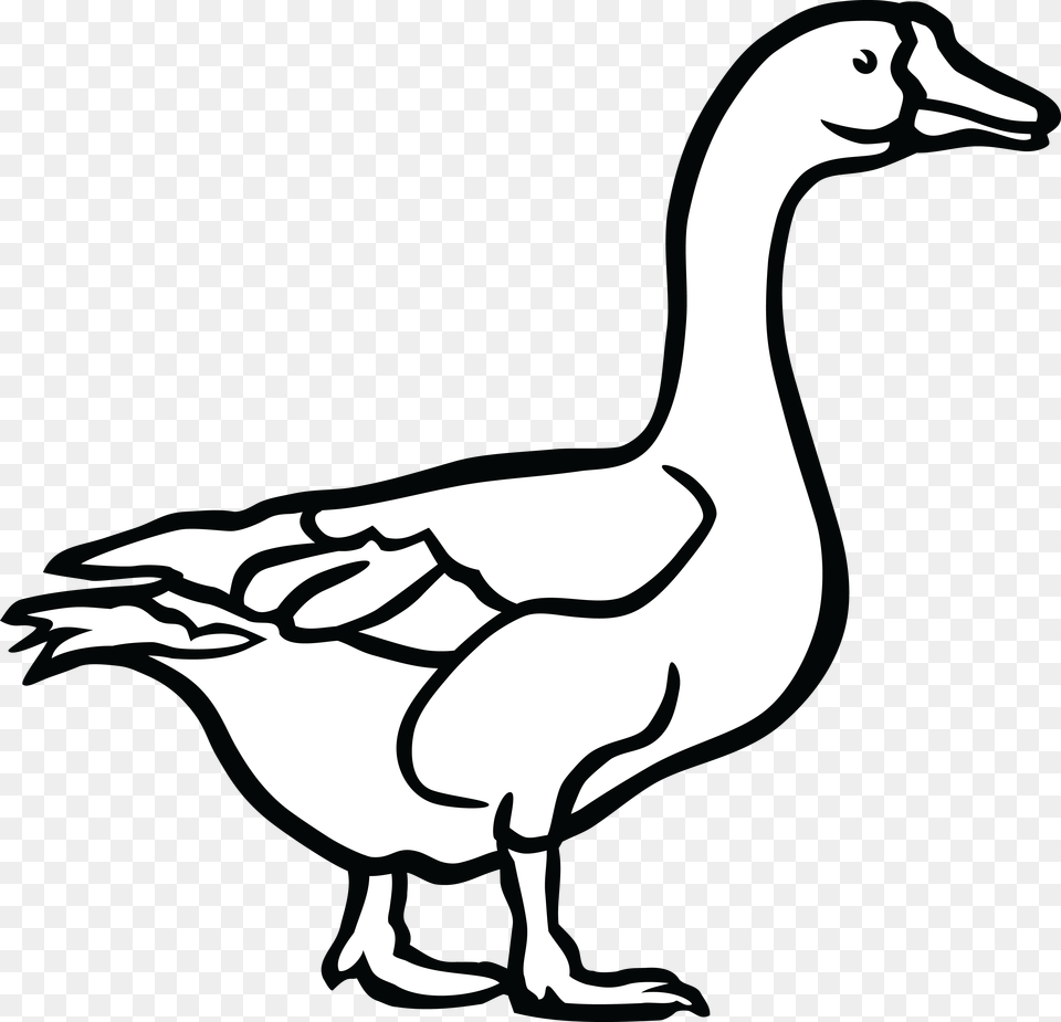 Canada Goose Duck Black And White Clip Art, Animal, Bird, Waterfowl, Fish Png