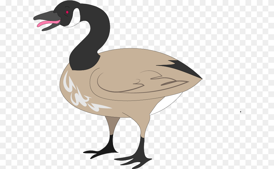 Canada Goose Illustrated For A North By Northwestern, Animal, Bird, Waterfowl, Fish Png