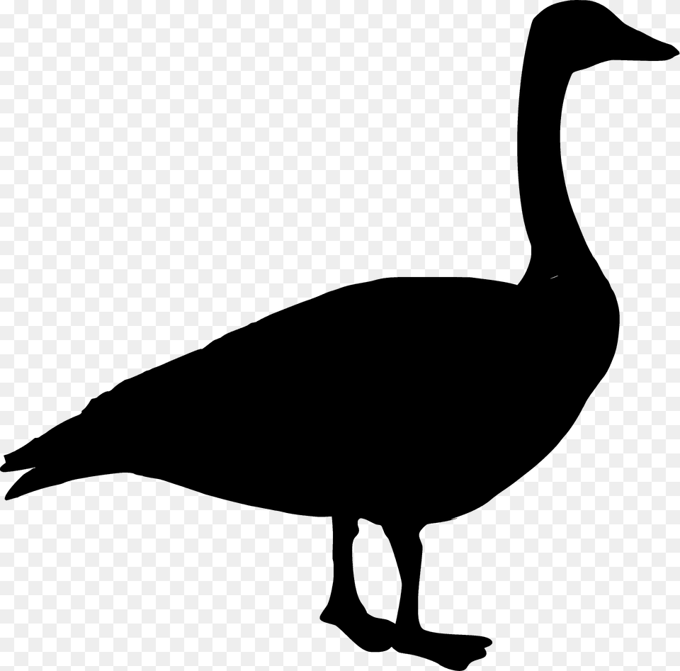 Canada Goose Silhouette, Animal, Bird, Waterfowl, Fish Free Transparent Png