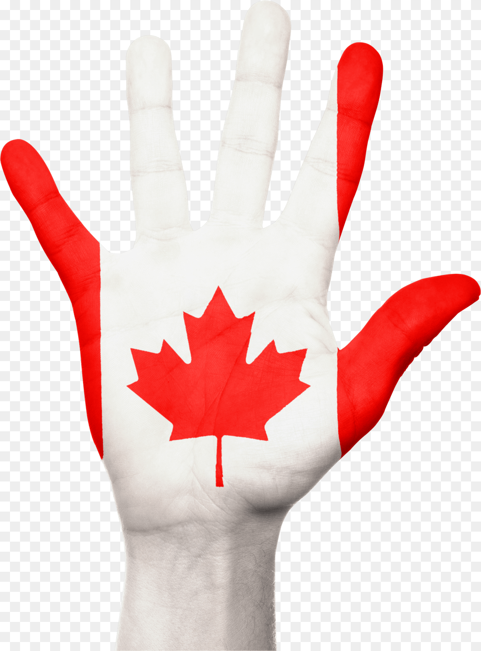 Canada Hand Flag Country Pride Canada Flag Hand, Body Part, Finger, Leaf, Person Png