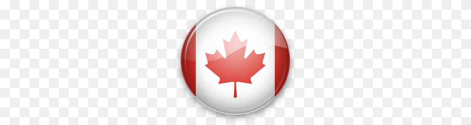 Canada Icon, Leaf, Plant, Logo, Clothing Free Png Download
