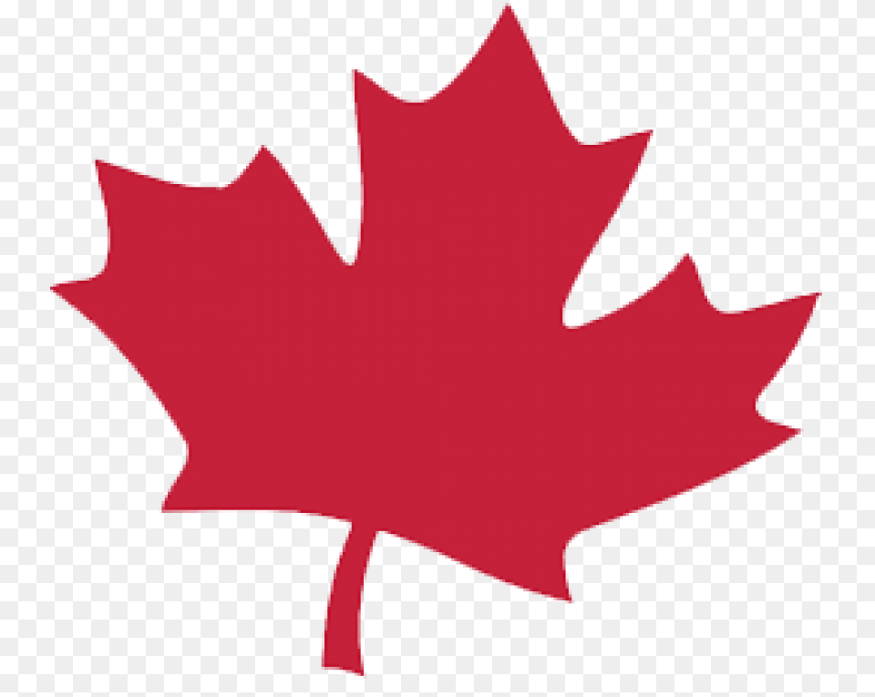 Canada Leaf, Maple Leaf, Plant, Tree Free Transparent Png