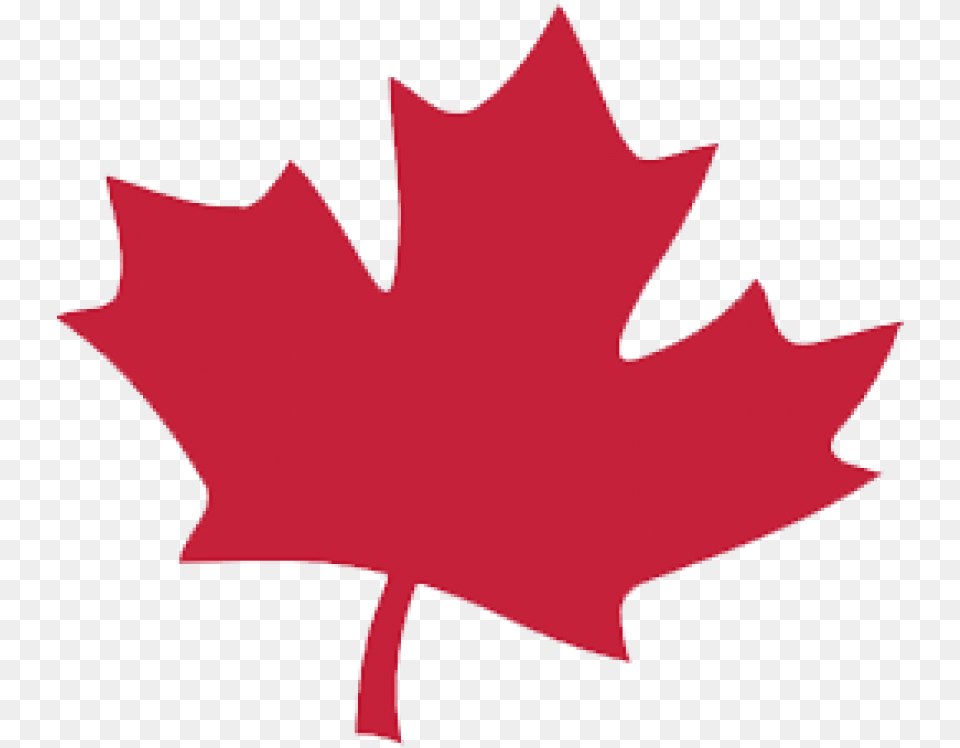 Canada Leaf, Maple Leaf, Plant, Tree, Animal Free Png
