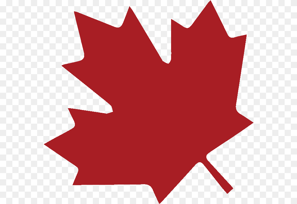 Canada Leaf Canada Flag, Maple Leaf, Plant, Animal, Fish Png