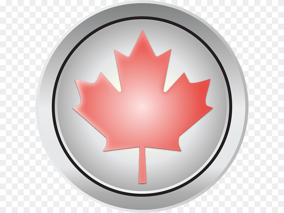 Canada Maple Leaf Images Happy Canada Day 2018, Plant, Maple Leaf Png Image
