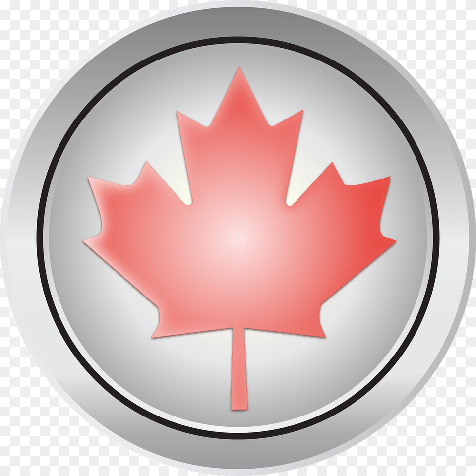 Canada Maple Leaf Transparent Images Happy Canada Day July, Plant, Maple Leaf Png