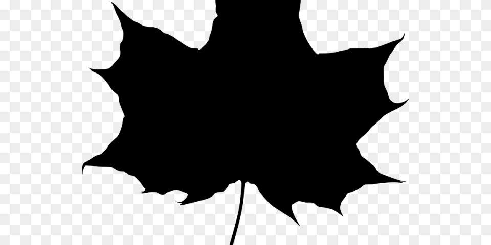 Canada Maple Leaf Transparent Images Maple Leaf Silhouette, Gray Png Image