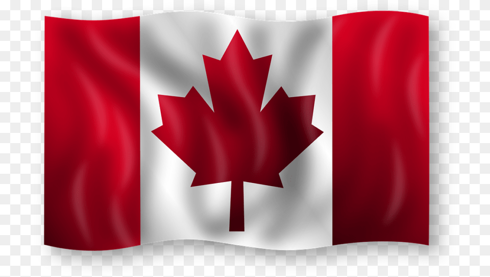 Canada Moving Canada Flags, Leaf, Plant, Flag Free Png Download