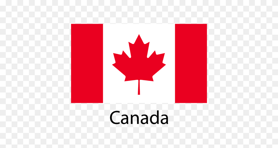 Canada National Flag, Leaf, Plant, Maple Leaf, First Aid Png