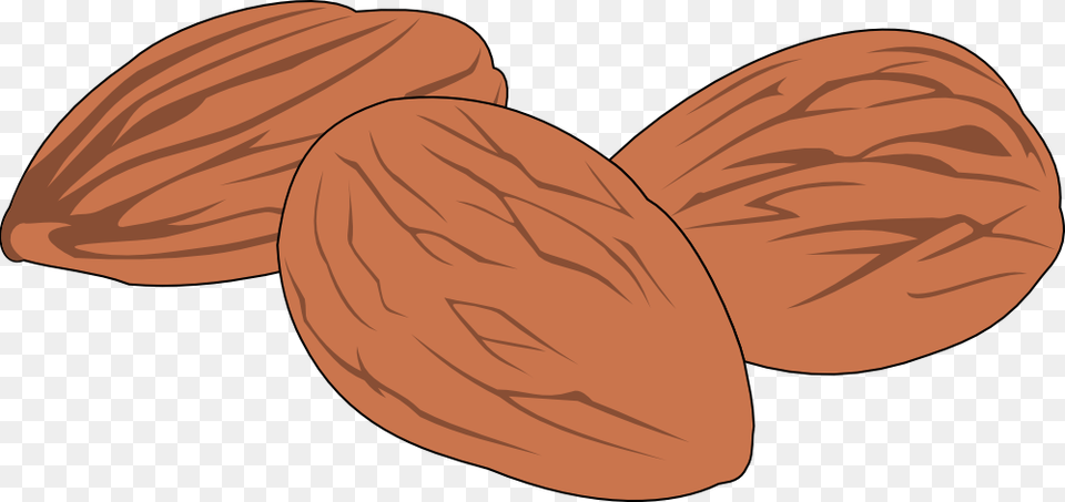 Canada S Guide To Healthy Eating Nut Clipart, Almond, Food, Grain, Produce Png Image