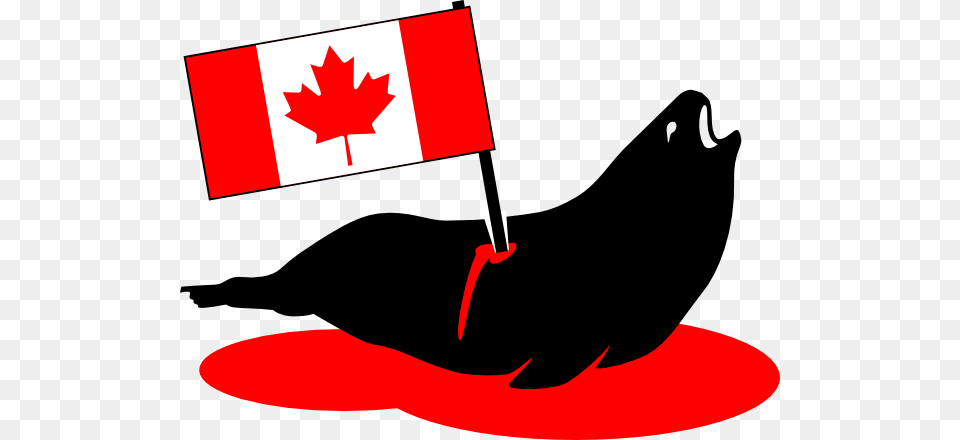 Canada Seal Hunting Clip Art, Leaf, Plant, Animal, Fish Png