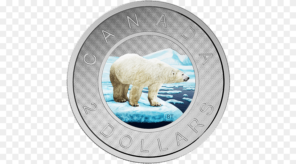 Canada Silver Coin Toonie Canada Polar Bear Coin, Animal, Mammal, Wildlife, Polar Bear Png