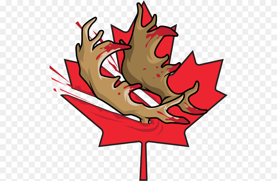 Canada Transparent Maple Leafs, Leaf, Plant, Maple Leaf, Tree Free Png