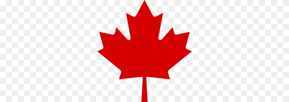 Canadian Leaf, Plant, Maple Leaf, Tree Png Image