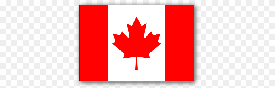 Canadian Charts Canada Flag, Leaf, Plant, Maple Leaf, First Aid Free Png