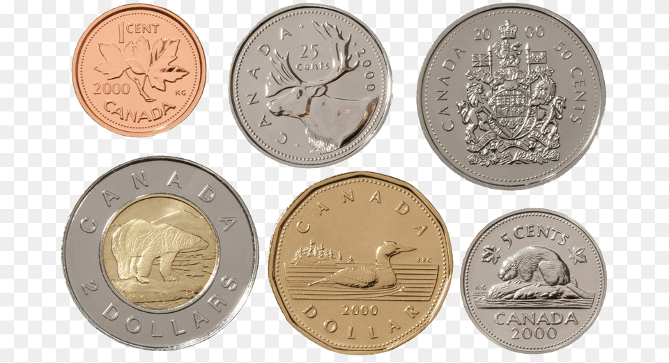 Canadian Dollar Canadian Money Coins 2017, Wildlife, Animal, Bear, Coin Free Png