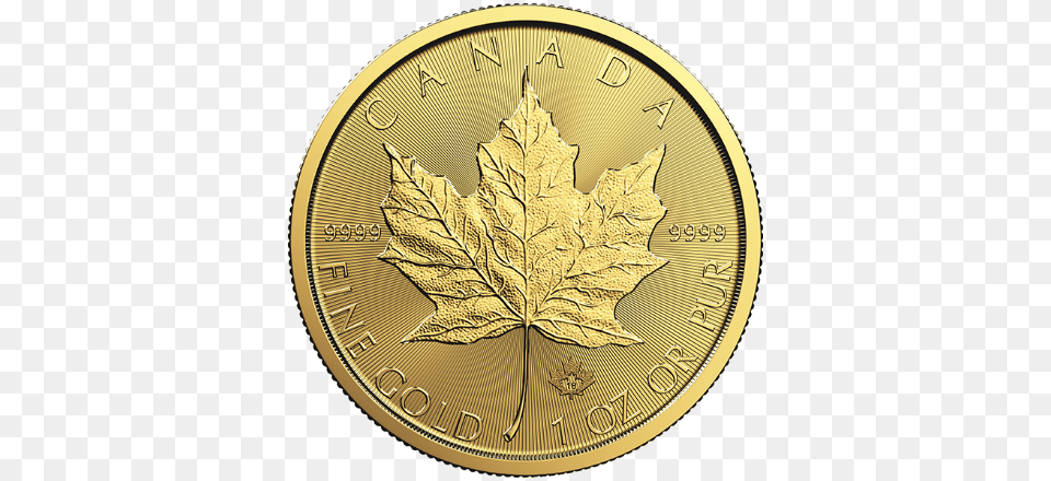 Canadian Dollar Coin, Gold, Leaf, Plant Png