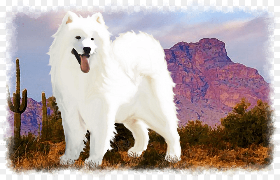 Canadian Eskimo Dog, Animal, Canine, Mammal, Pet Free Png Download