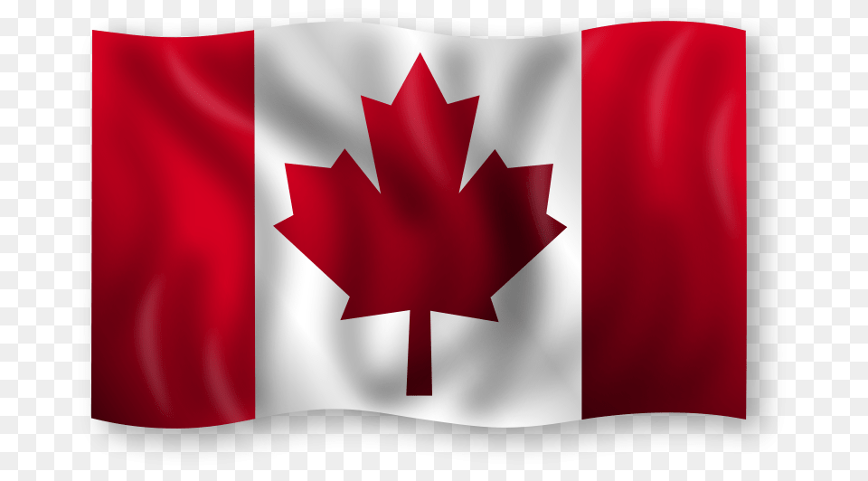 Canadian Flag, Leaf, Plant Free Transparent Png