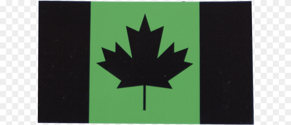 Canadian Flag, Leaf, Plant, Logo, Maple Leaf Png Image