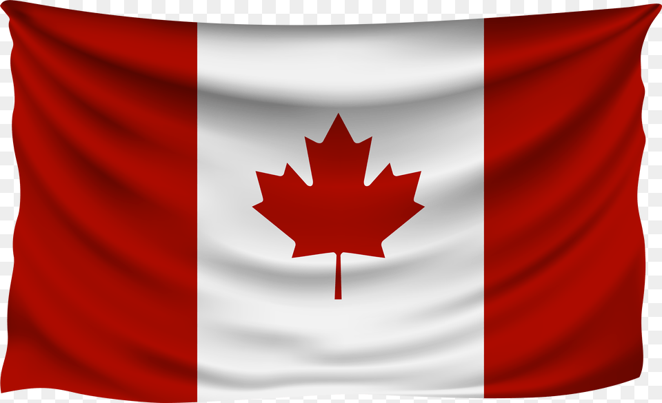 Canadian Flag Canada Flag Gif Animated, Leaf, Plant Png Image