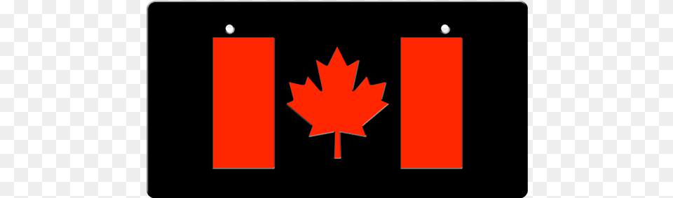 Canadian Flag Led License Plate Cover Canada Flag Number Plate, Leaf, Plant, Logo Png