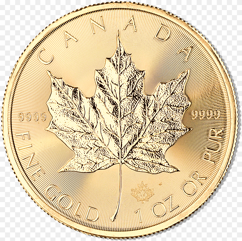Canadian Gold Maple 2017 1 Oz Bullionstar Singapore Gold, Leaf, Plant, Silver Free Png Download