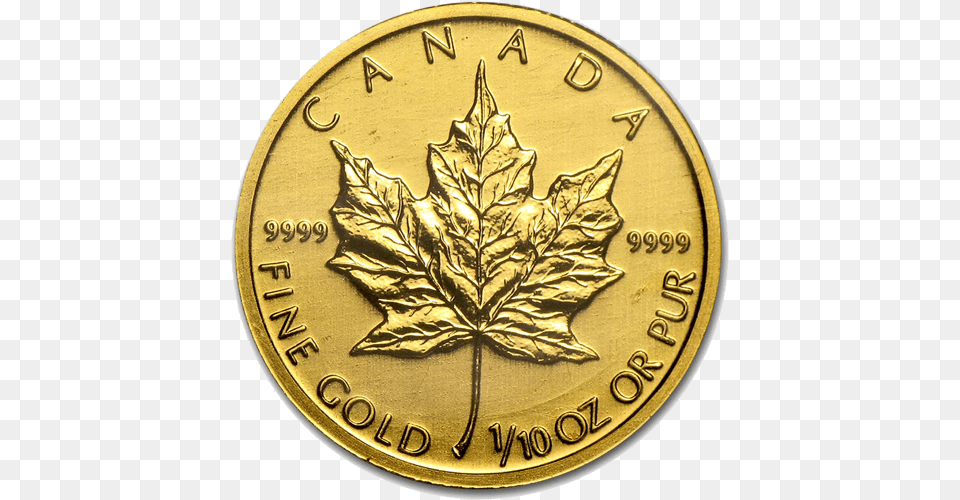 Canadian Gold Maple Leaf Canadian Gold Coin, Plant, Accessories, Jewelry, Locket Png